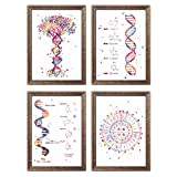 DNA Genetic Code Watercolor Art 8x10 Unframed Print Set Chemistry Laboratory Science Microbiology Teacher Double Helix Doctor Chemist Nurse Student Classroom Wall Office Medical Art Decor Poster Gift