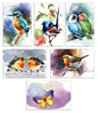 50-Pack All Occasion Greeting Cards Box Set, 4 x 6 inch, 50 Assorted Blank Note Cards & 50 Envelopes, 6 Butterfly & Birds Designs, Blank Inside, by Better Office Products, 50 Pack