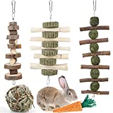 iBoBoy Rabbit Chew Toys Bunny Toys Guinea Pigs Chew Treat Play Balls Rolling Molar Toys for Cage Entertainment Accessories for Hamsters Rat Chinchilla Gerbils and Other Small Animal Teeth Grinding