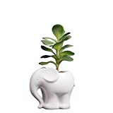 Cute Cartoon Animal Elephant Shaped Ceramic Succulent Cactus Vase Flower Plant Pot for Home Garden Office Desktop Decoration (Plant Not Included) (White)