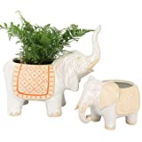 Ceramic Elephant Succulent Planter Pots - 8.6 + 5.9 Inch Cute Animal Glazed Pottery Indoor Flower Plant Pots with Sandy Gravel Detailing, Home Decor