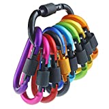 IEBUOBO 10 Pack Aluminum D Ring Key Rings Hiking Clips Locking Carabiner for Hiking Camping Fishing and Outdoor UseClips with Screw Gate Multicolored