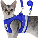 Cat Harnesses and Puppy Harness with Leashes Set, Escape Proof Cat Harness, Adjustable Reflective Soft Mesh Vest Fit Puppy Kitten Rabbit Ferrets's Outdoor Harness (Blue, M, Chest: 13" - 14")