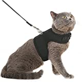 PUPTECK Soft Mesh Cat Vest Harness and Leash Set Puppy Padded Pet Harnesses Escape Proof for Cats Small Dogs, Black XL