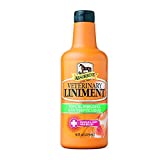 Absorbine Veterinary Liniment Liquid, Topical Relief for Muscle, Joint & Arthritis Pain, 16oz Bottle