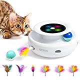 Cat Toys ORSDA 2-in-1 Interactive Cat Toys for Indoor Cats, Automatic Cat Toy Balls, Ambush Feather Kitten Toys with 6pcs Attachments, Dual Power Supplies, Adjustable Speed, Auto On/Off