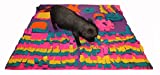 Pig Activity Rooting Snuffle Mat Non Skid Backing