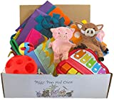 Piggy Poo and Crew Pig Box - $130 Value - Two Rooting Mats, Peanut Butter Stick, Large Treat Ball, Loop Toy, Rattle Ball, Game, & Paper Crinkle Toys (Green Peanut Butter Stick Combo with a Green Ball)