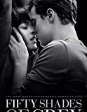 newhorizon Fifty Shades of Grey Movie Poster 17'' x 25'' NOT A DVD