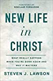 New Life in Christ: What Really Happens When You're Born Again and Why It Matters