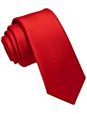 JEMYGINS 2.4" Red Tie Silk Skinny Ties for Men Slim Necktie(3)