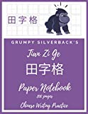 Grumpy Silverback's Tian Zi Ge Paper Notebook 200 pages Chinese Writing Practice: Field-Style Practice Paper Notebook, 8.5"x11", Grid Guide Lines for ... Calligraphy (Chinese Writing Practice Books)