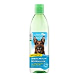TropiClean Fresh Breath Oral Care Water Additive Plus Digestive Support for Dogs, 16oz - Dental Health Solution - Probiotics & Digestive Enzymes - VOHC Accepted - Made in USA
