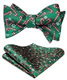 HISDRN Christmas Bow Tie for Men Self Tied Pocket Square Set Xmas Festival Fun Santa Claus Green Bow Tie Handkerchief Set Party Holiday