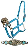 Showman Horse 2 Ply Teal Nylon Bronc Halter with Alligator Print Inlay and Painted Studs