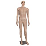 Male Mannequin Torso Dress Form Mannequin Body Sewing Dress Model Mannequin Stand Adjustable Dress Mannequin Clothing Form 73 inch Mannequin Realistic Mannequin Display Head Arm Rotation Metal Base