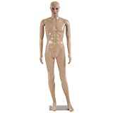 FDW Full Body Dress Form Sewing Male Adjustable Model 73 inch Realistic Display Head Clothing Metal Base Stand, Nude