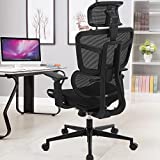 SAMOFU Ergonomic Office Chair, Backrest Height Adjustable Desk Chair,Big and Large Mesh Chair with Adjustable Lumbar Support/Armrest, High Back Computer Chair Executive Chair with Tilt & Lock Function