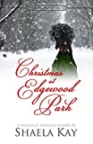 Christmas at Edgewood Park (Seasons of Littleton Book 1)