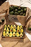 12 to 16 California Organic Hass Avocados from ACE Ranch, Fresh Avocados, 100% Certified Organic California Hass Avocados, Premium California Organic Avocados, Rich and Buttery Flavor, Fresh Avocado