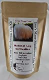 Forest Organics Lion's Mane Mushroom Growing Log Kit