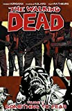 The Walking Dead: Something To Fear, Vol. 17