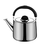 M-MAX Stainless Steel Tea Kettle Stovetop Whistling Teakettle Teapot with Ergonomic Handle -6QT