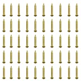 RZDEAL 100 PCS 0.08'' x 0.6'' Round Head Brass Nails for Hinges Boxes Craft Projects(DIY)