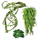 kathson Reptile Vines Plants Flexible Bendable Jungle Climbing Vine Terrarium Plastic Plant Leaves Pet Tank Habitat Decor for Bearded Dragons Lizards Geckos Snakes Hermit Crab Frogs and More Reptiles