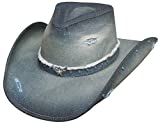 Bullhide Hats Sassy Cowgirl Collection Silver Wings 2828 (Medium)