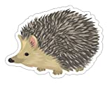 JS Artworks Cute pet Hedgehog Vinyl Bumper Sticker Decal