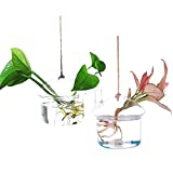 Ivolador 2PCS Mushroom-Shaped Hanging Glass Flower Plants Terrarium Container for Hydroponic Plants Home Garden Decor