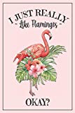 Pink Flamingo Notebook: A blank lined pink flamingo journal - a great flamingo gift for women, funny flamingo gift for kids, fabulous flamingo gift ... birthday or as a flamingo christmas gift