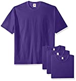 Hanes Men's Essentials Short Sleeve T-shirt Value Pack (4-pack),purple,Large