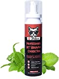 Cat Spray for Scratching, Cat Scratch Deterrent for Kittens and Cats, Cat Repellent Indoor, Protect Furniture & Household Items