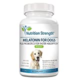 Nutrition Strength Melatonin for Dogs, Help Improve Sleep Quality, Anti-Anxiety Support, Stress & Separation Aid, Promote Relaxation, Help Dogs Feel Calm & Comfortable, 120 Chewable Tablets