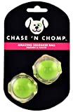 Small Amazing Squeaker Balls (2 pack)