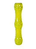 Chase 'n Chomp Durable TPR Squeaking Fetch Stick Dog Toy, Large