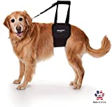 GINGERLEAD Dog Sling Support Harness, LG Female fits Big Dogs Over 65 lbs. Padded Rear Lift with Integrated Leash to Assist Senior K9s, or Recovery from Knee/TPLO, Hip or Back Surgery. Made in U.S.A.