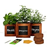 Indoor Herb Garden Kit - Includes 3 Wooden Herb Pots, Internal drip Trays, Soil Pellets, Chalk, Instructions Booklet and Basil, Oregano & Thyme Non GMO Herb Seeds. DIY Kitchen Herbs Growing Kit.