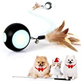 Peppy Pet Ball Toys, Automatic Moving Busy Ball for Indoor Cats/Kitten, Rechargable Interactive Feather Wicked Ball with Bell & LED Lights for Your Pet Play/Exercise(Black)