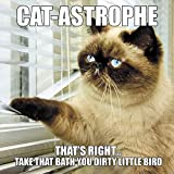 Cat-astrophe