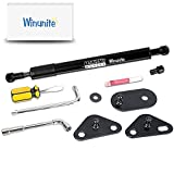 Winunite Compatible with 2015-2023 F150 Tailgate Assist Shock Truck Lift Assist Fits for Truck Tailgate Accessories Soft Open Easy Down Easy Lift(All Tools Provided)