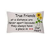 GHORIHUB Best Friend Pillow Covers True Friendship Appreciate Pillowcases Bestie Birthday Graduation Distance Gift Christma Inspirational Keepsakes Home Car Living Room Decors Cushion Cases (Style 1)