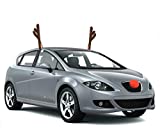 Finelife Reindeer Car Set