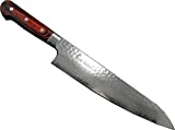 Sakai Takayuki Hammered Damascus 33 Layer Vg-10 Japanese 07396 Gyuto 240mm Chef Knife
