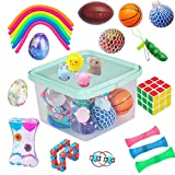 KINGYAO 24 Pack Bundle Sensory Fidget Toys Set-Liquid Motion Timer/Grape Ball/Mochi Squishy/Stretchy String/Flippy Chain/Easter Egg/Marble Mesh/Squeeze Bean/Cube for Autistic Kids ADHD Anti-stress Toy
