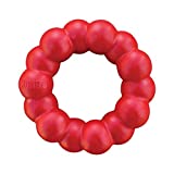 KONG - Ring - Durable Rubber Dog Chew Toy - for Medium/Large Dogs