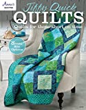 Jiffy Quick Quilts: Quilts for the Time Challenged (Annie's Quilting)