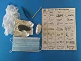 Owl Pellet Dissection Individual Kit 2 Count (2+ inch)